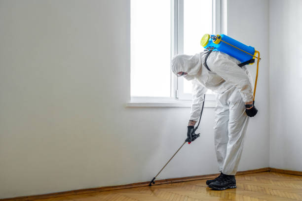 Insect Control in West Des Moines, IA