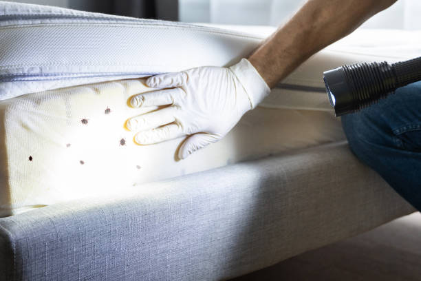 Best Exterminator Services  in West Des Moines, IA